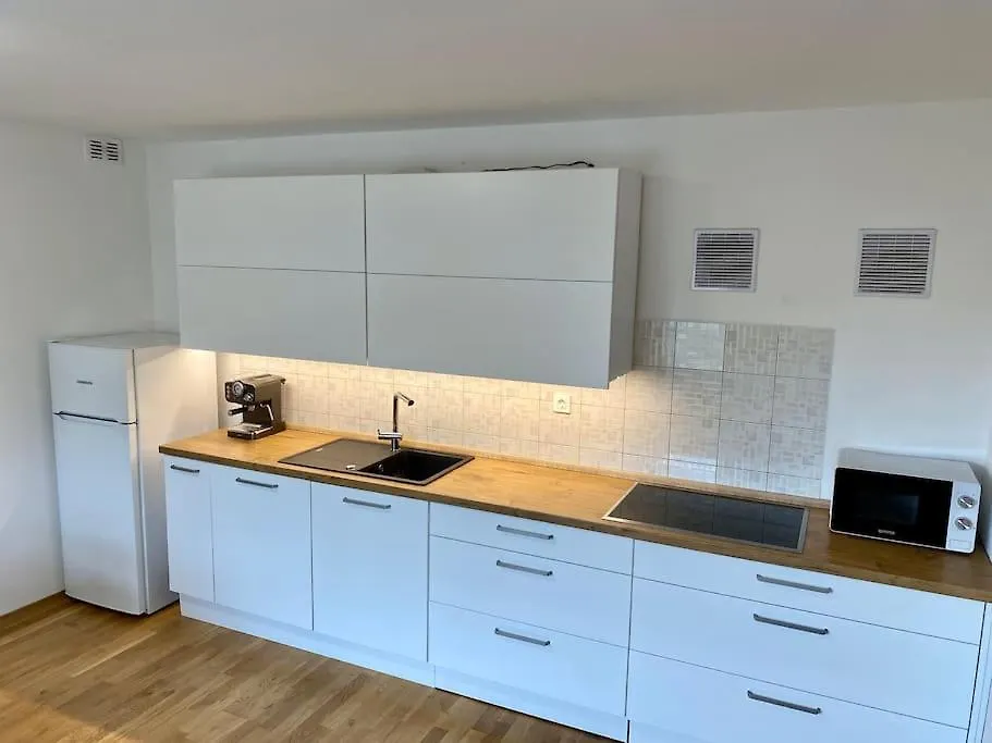 Spacious Apt In A Quiet Neighbourhood + Private Parking Ljubljana Apartment