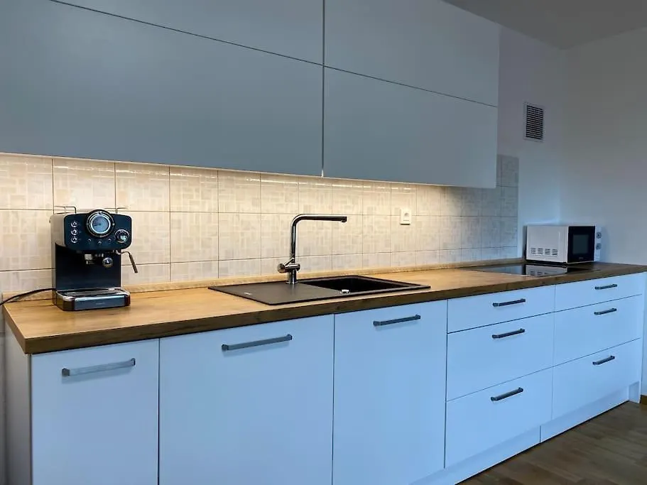 Spacious Apt In A Quiet Neighbourhood + Private Parking Ljubljana